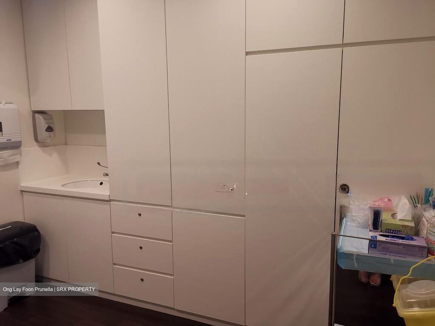 Mount Elizabeth Novena Hospital (D12), Retail #520833141